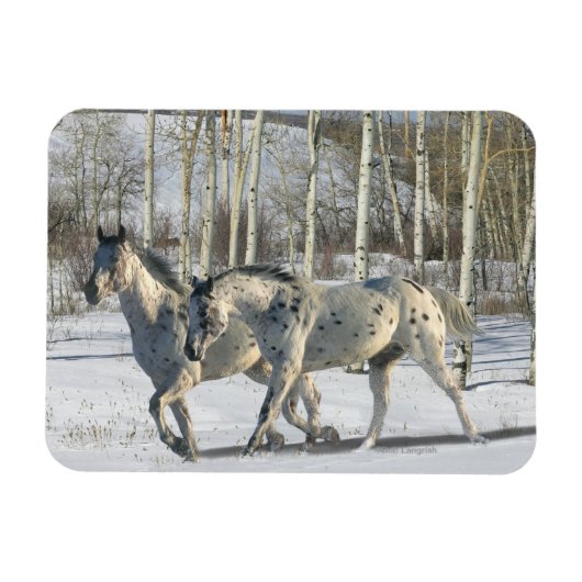 Fantasy Horses: Winter Wonderland Magneet (Horizontaal)