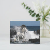 Fantasy Horses: Zuidelijke Zeeen Briefkaart (Staand voorkant)