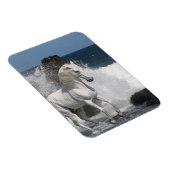 Fantasy Horses: Zuidelijke Zeeen Magneet (Rechterzijde)