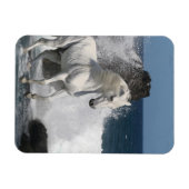 Fantasy Horses: Zuidelijke Zeeen Magneet (Horizontaal)