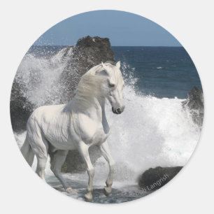 Fantasy Horses: Zuidelijke Zeeen Ronde Sticker