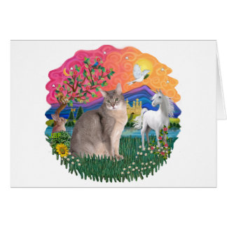 Fantasy Land (ff) - Blauwe Abessijnse kat