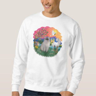 Fantasy Land (ff)- Ragdoll kat (blauwe seal point) Trui