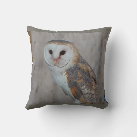 Fantasy Owl Kussen (Achterkant)