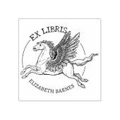 Fantasy Pegasus Paard Ex Libris Boek Rubberstempel (Afrduk)