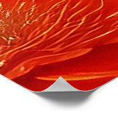 Fantasy Red Fairy Red Flowers Poster (Hoek)