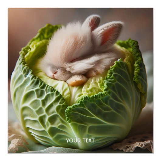 Fantasy Schattige Baby Bunny Cabbage Perfect Poster (Voorkant)