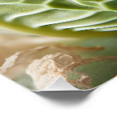 Fantasy Schattige Baby Bunny Cabbage Perfect Poster (Hoek)