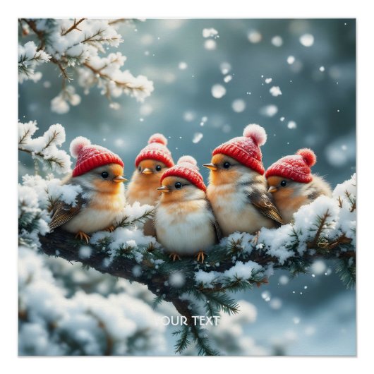 Fantasy Schattige Birds Pet Snow Perfect Poster (Voorkant)