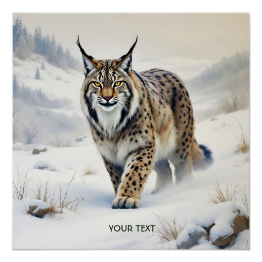 Fantasy Schattige Lynx Wintersneeuw Perfect Poster (Voorkant)