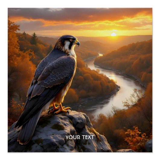 Fantasy Schattigee Falcon Sunset Herfst Perfect Poster (Voorkant)
