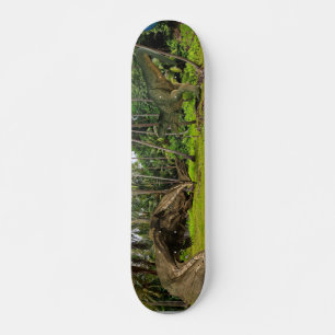 Fantasy T-Rex Tyrannosaurus Draak gevecht  Skateboard