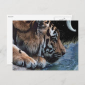 Fantasy Tiger & Moon Briefkaarten (Voorkant / Achterkant)