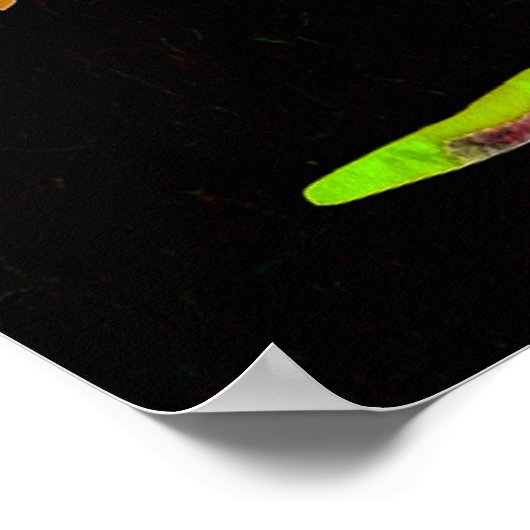 *~* Fantasy Tree AP81 Etherische Quote Zwart Poster (Hoek)