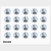 Fantasy Zeemeermin Stickers (Vel)