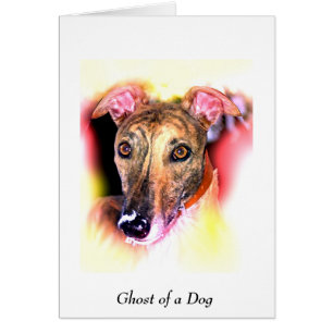 Fantôme d'un chien