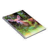 Faon dans les Bois - Cache-cache - Cahier (Côté Droit)