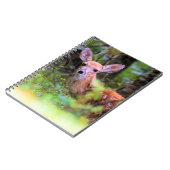 Faon dans les Bois - Cache-cache - Cahier (Côté gauche)