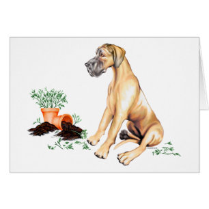 Faon vilain UC de chiot de great dane