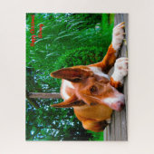 Farao Hound Dog. Legpuzzel (Verticaal)
