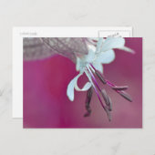 Farbenfroh Briefkaart (Voorkant / Achterkant)