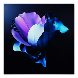 Farbig Strahlende Blüten in Dunkelheit Perfect Poster