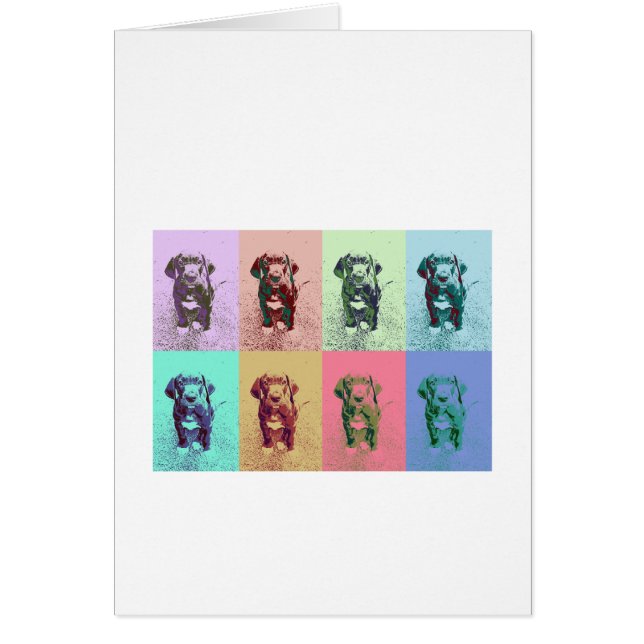FarbMuster Doggen chiot Calla (Devant)