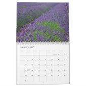 Farbzauber Lavendel Kalender (Jan 2027)