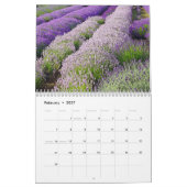 Farbzauber Lavendel Kalender (Feb 2027)