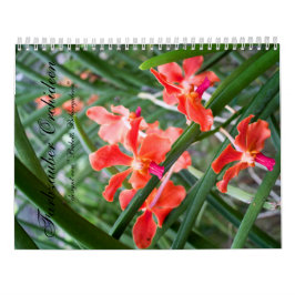 Farbzauber Orchideen Kalender