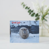 Fåret Fjun julkort Briefkaart (Staand voorkant)