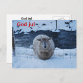 Fåret Fjun julkort Briefkaart (Voorkant / Achterkant)