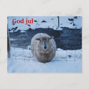 Fåret Fjun julkort Briefkaart