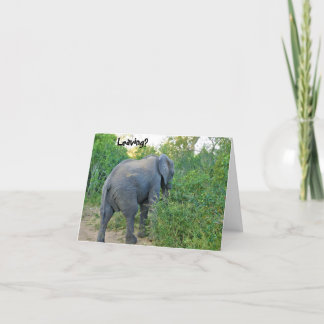 Farewell South Africa Elephant Card Bedankkaart