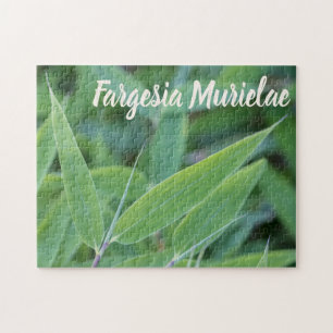 Fargesia murielae Bamboo plant voor tuinbouwcadeau Legpuzzel