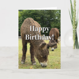 Farm Animal Donkey Cute Barnyard Funny Birthday  Kaart