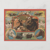 Farm Animals Ephemeral Ad Briefkaart (Voorkant)