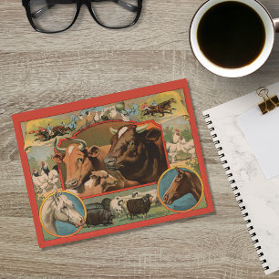 Farm Animals Ephemeral Ad Briefkaart