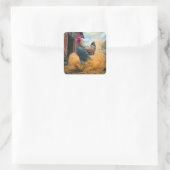 Farmer Rooster Kicking Up Dust Vierkante Sticker (Tas)