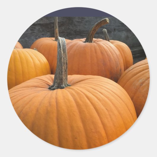 Farmer's Market, Autumn Harvest Pumpkins Ronde Sticker (Voorkant)