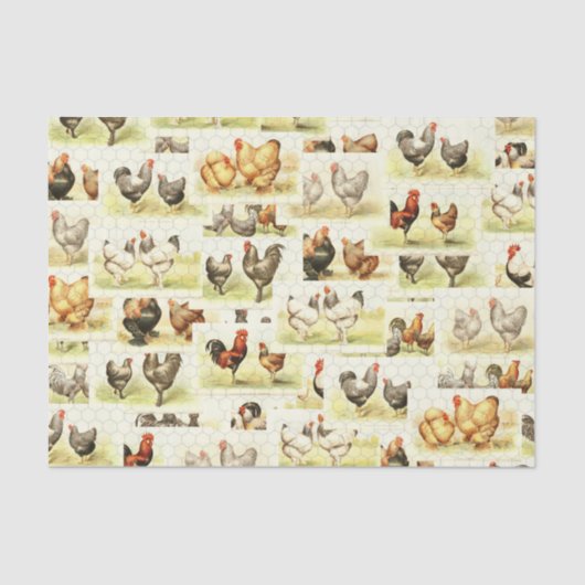 Farmhouse Chicken Tissue- Decoupage of Wrap Tissuepapier (Voorkant)