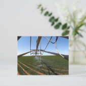 Farmland Postcard Briefkaart (Staand voorkant)