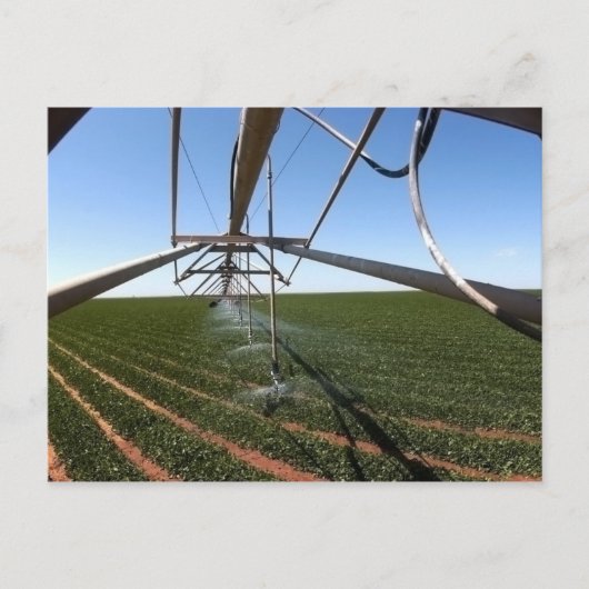 Farmland Postcard Briefkaart (Voorkant)