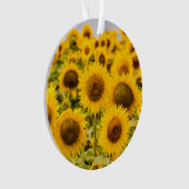 Farms | A Sunflower (devant)