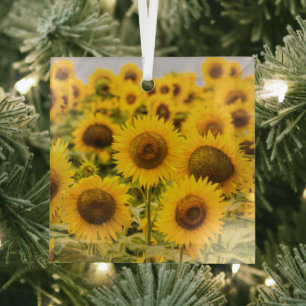Farms A Sunflower Field Glas Ornament