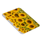Farms | A Sunflower Field Magneet (Rechterzijde)