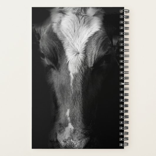 Farms | B&W Cow (Dos)