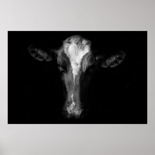 Farms | B&W Cow Head Shot Poster (Voorkant)