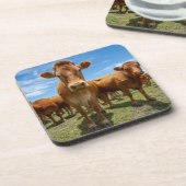 Farms Brown Cow Group Bier Onderzetter (Linkerzijde)