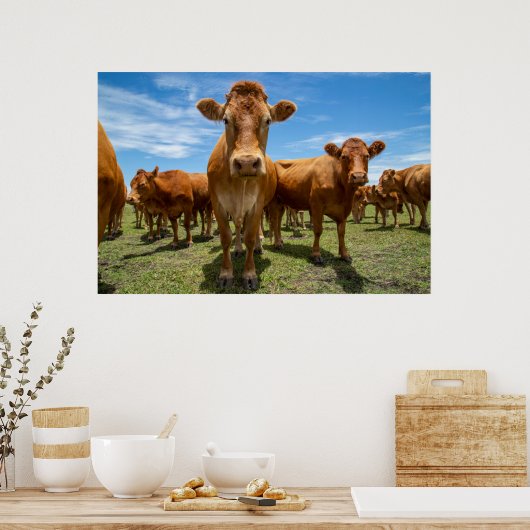 Farms Brown Cow Group Poster (Keuken)